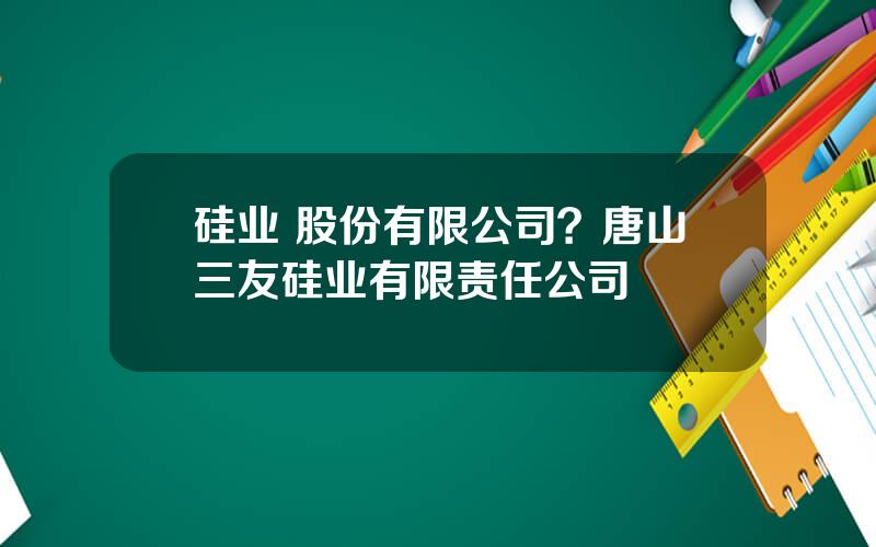 硅业 股份有限公司？唐山三友硅业有限责任公司